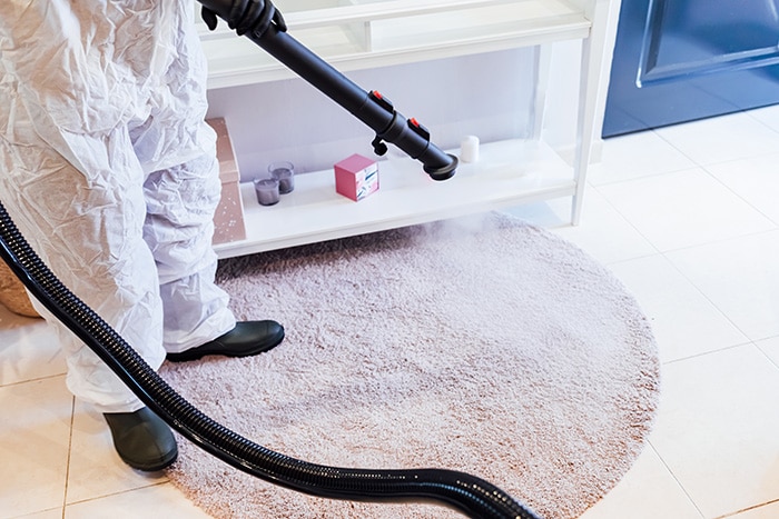 Man wearing PPE inside a house disinfecting a COVID-19 carpet. Pandemic healthcare concept
